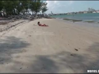 극단 challenge 4 비탄 고양이