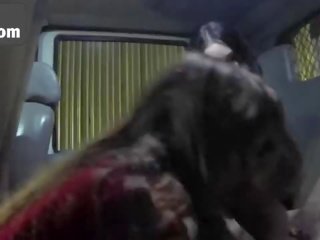 Extraordinary babes bribe a bad tow truck driver with their cunts