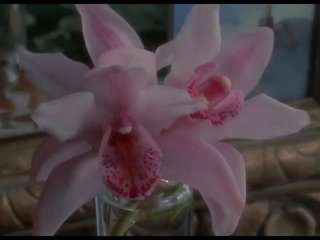 Metsik orchidee täiskasvanud video stseenid 1989, tasuta kuulsus hd täiskasvanud film 0f